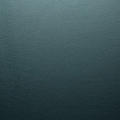 24166_petrol
