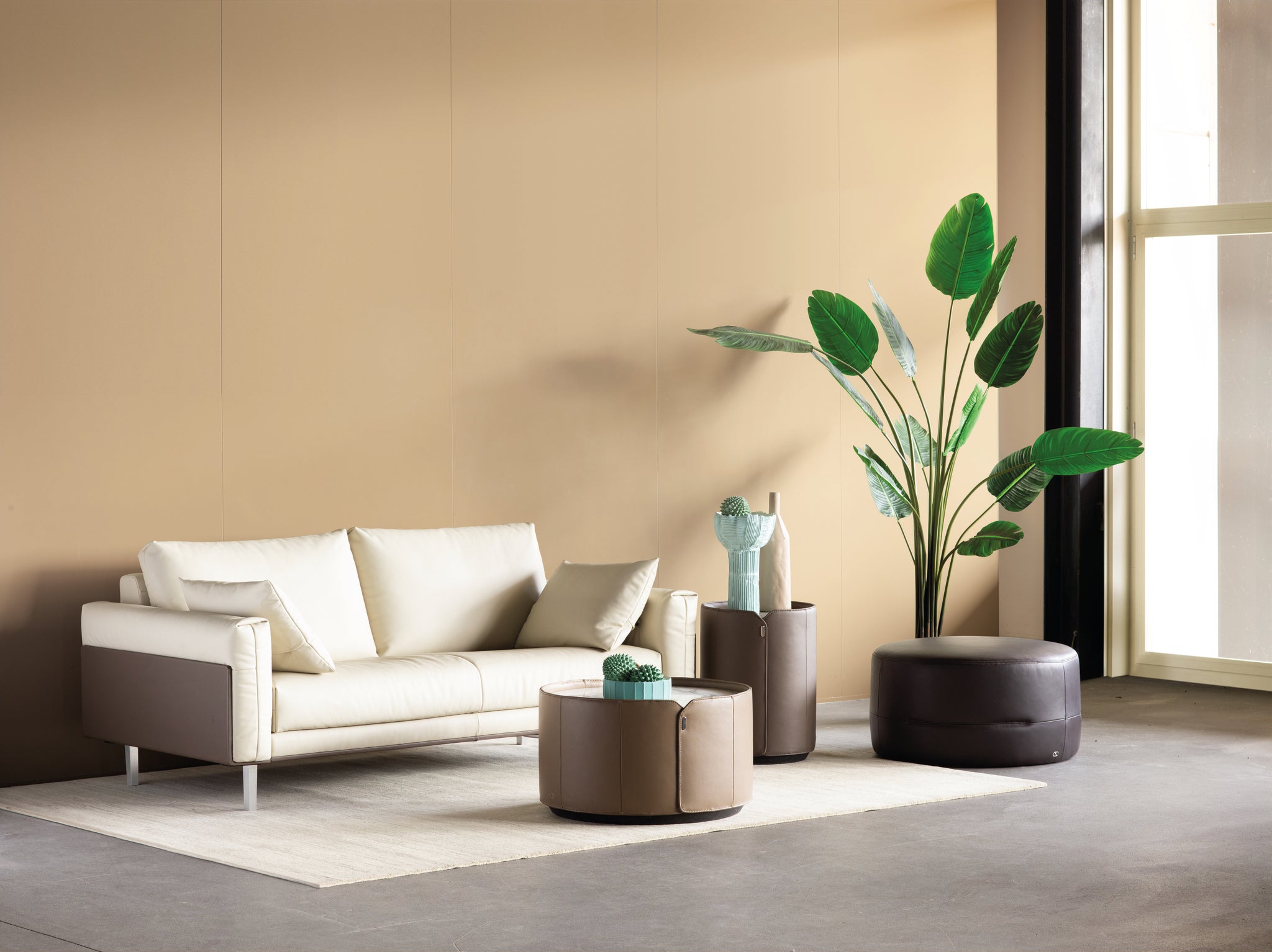 Ein cremefarbenes Ledersofa von Frank Sitzmobel Fsm mit braunen Akzenten und modernem Design.